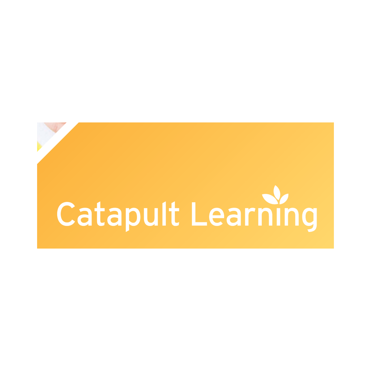 Catapult Learning logo